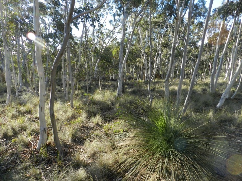 Pomeroy West 2337 Range Road, Goulburn NSW 2580