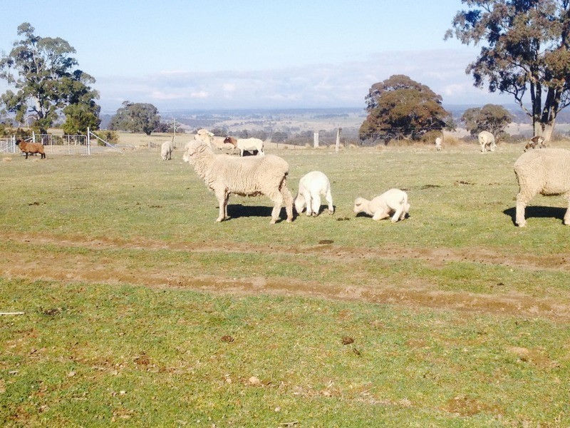 5 Chalkers Lane, Taralga NSW 2580