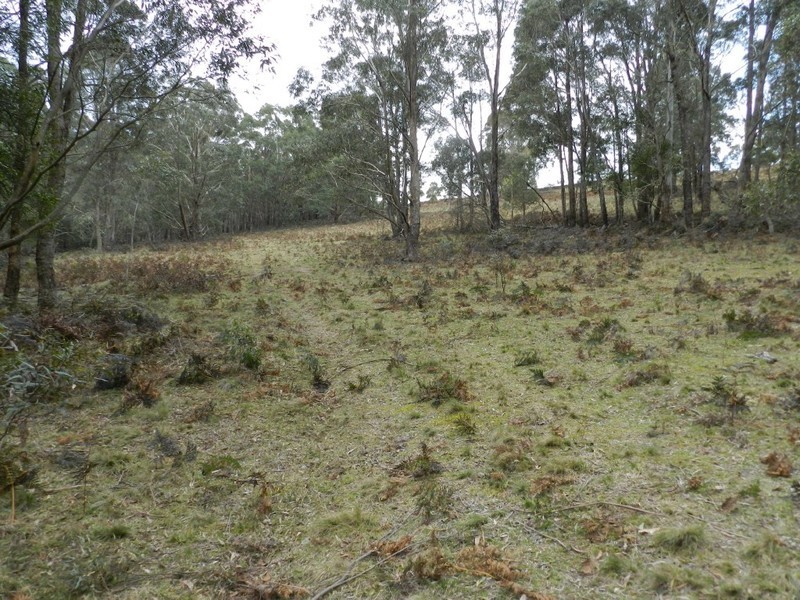 5 Chalkers Lane, Taralga NSW 2580