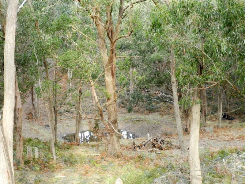 5 Chalkers Lane, Taralga NSW 2580