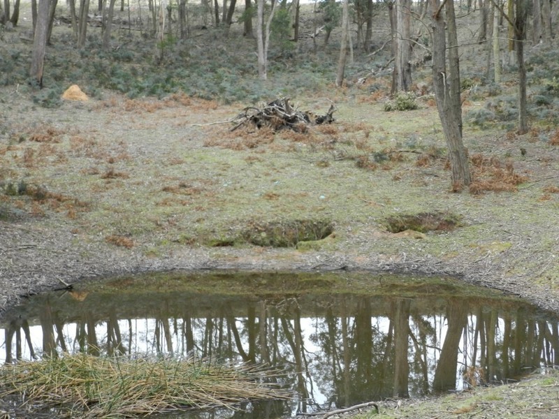 5 Chalkers Lane, Taralga NSW 2580