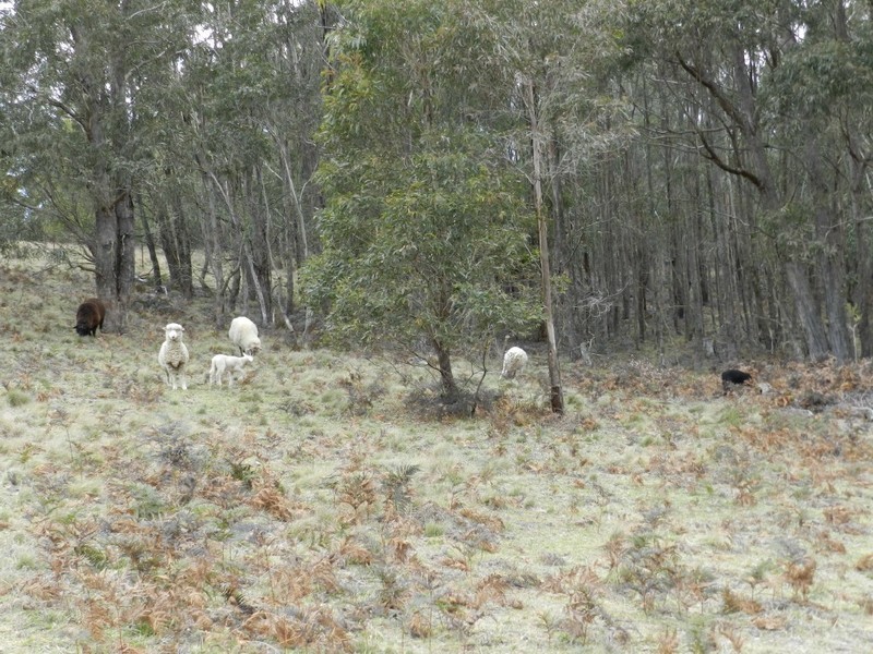 5 Chalkers Lane, Taralga NSW 2580