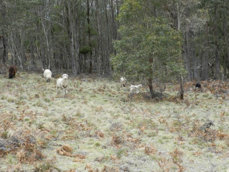 5 Chalkers Lane, Taralga NSW 2580