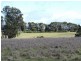 Lot 8 Levels Road, Golspie NSW 2580