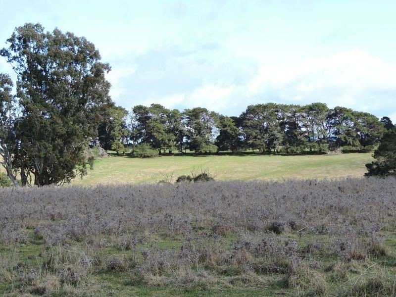 Lot 8 Levels Road, Golspie NSW 2580