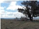 Lot 8 Levels Road, Golspie NSW 2580