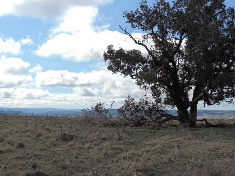 Lot 8 Levels Road, Golspie NSW 2580
