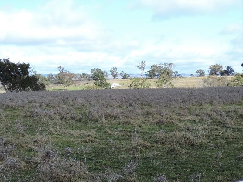 Lot 8 Levels Road, Golspie NSW 2580