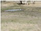 Lot 8 Levels Road, Golspie NSW 2580