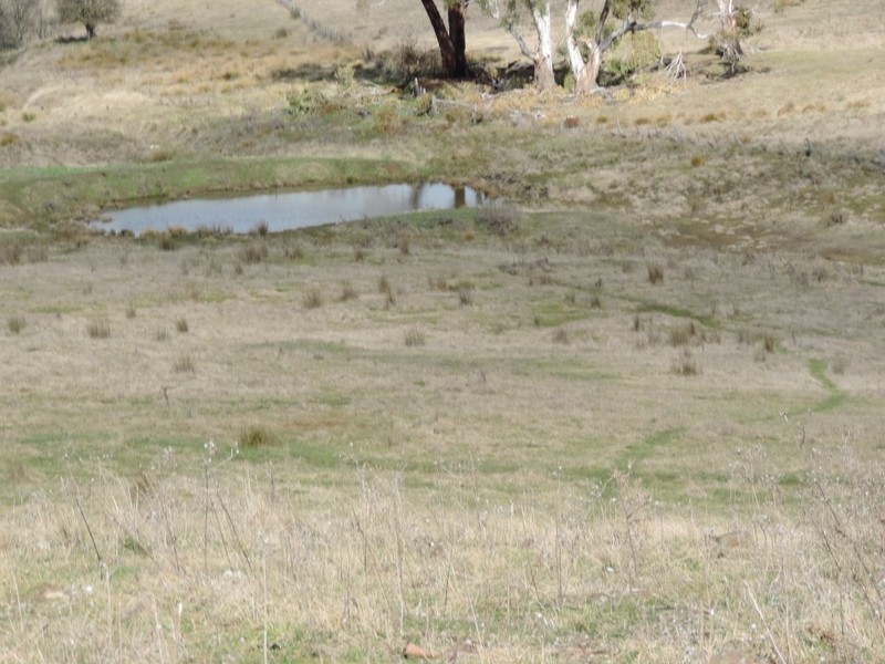 Lot 8 Levels Road, Golspie NSW 2580
