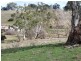 Lot 8 Levels Road, Golspie NSW 2580