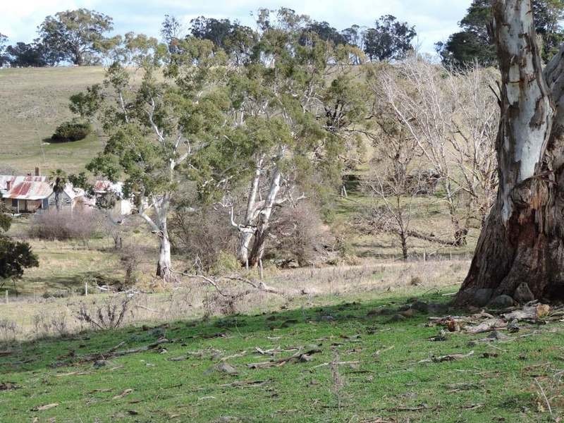 Lot 8 Levels Road, Golspie NSW 2580