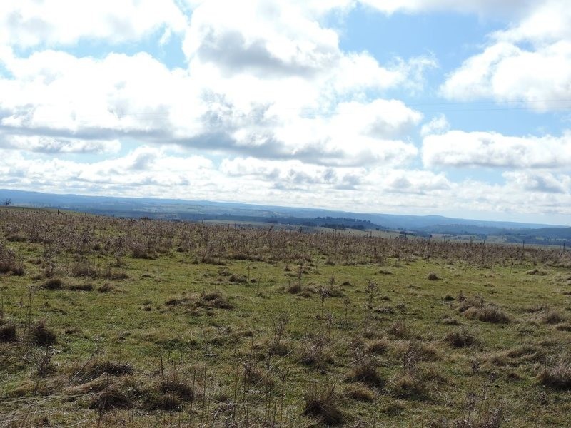 Lot 8 Levels Road, Golspie NSW 2580