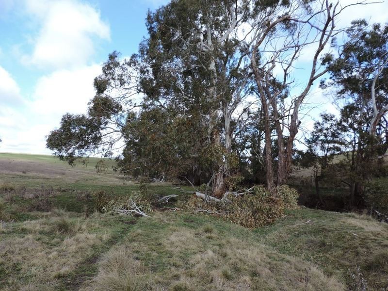 Lot 22 Levels Road, Golspie NSW 2580