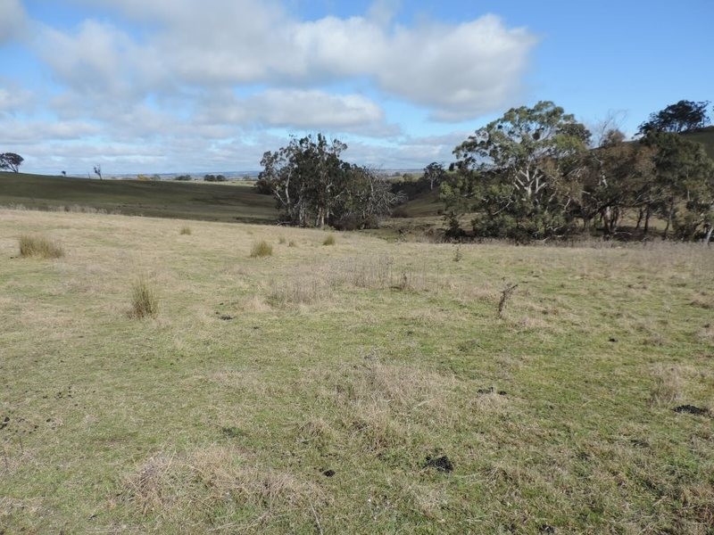 Lot 22 Levels Road, Golspie NSW 2580