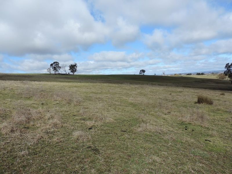 Lot 22 Levels Road, Golspie NSW 2580