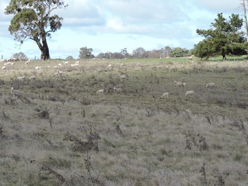 Lot 22 Levels Road, Golspie NSW 2580