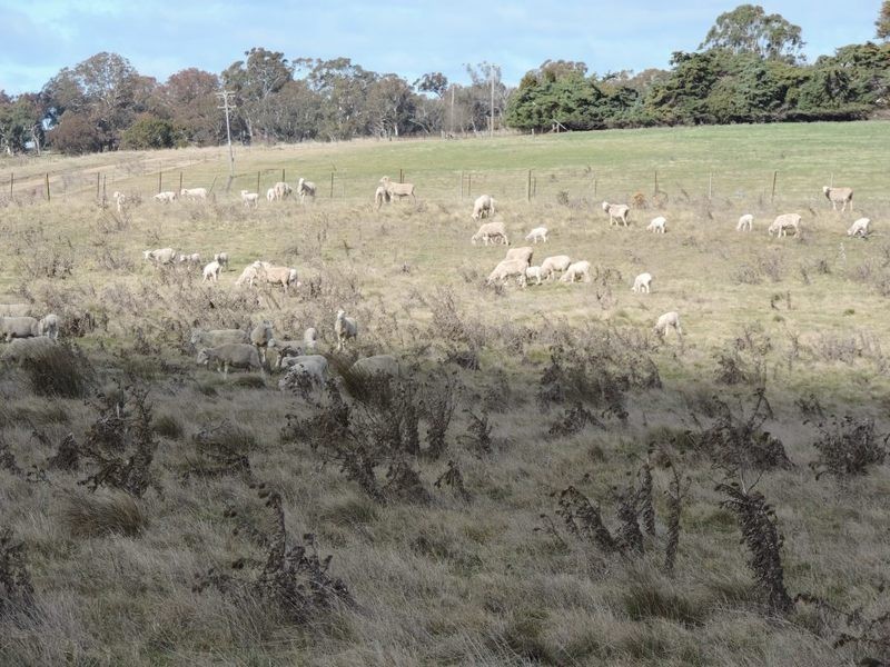 Lot 22 Levels Road, Golspie NSW 2580