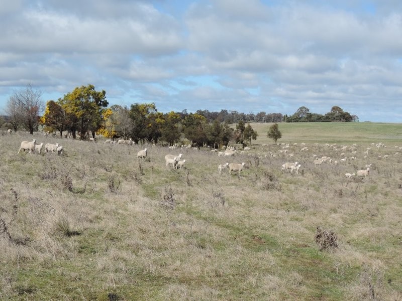 Lot 22 Levels Road, Golspie NSW 2580