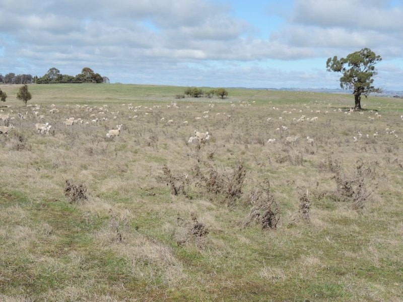 Lot 22 Levels Road, Golspie NSW 2580