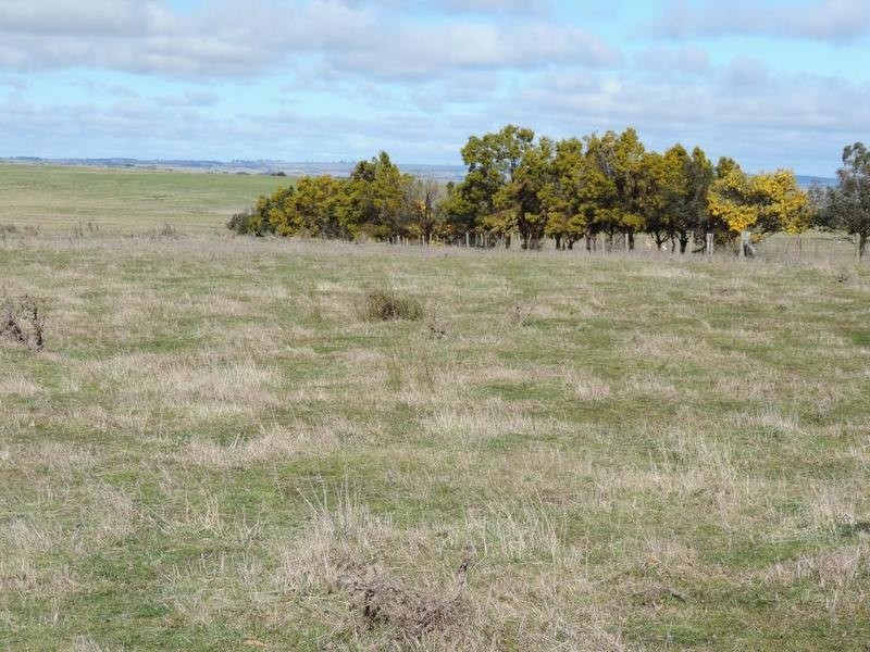 Lot 22 Levels Road, Golspie NSW 2580