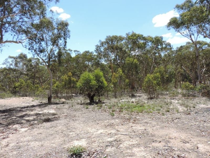 214 McLaughlin Road, Gundary NSW 2580