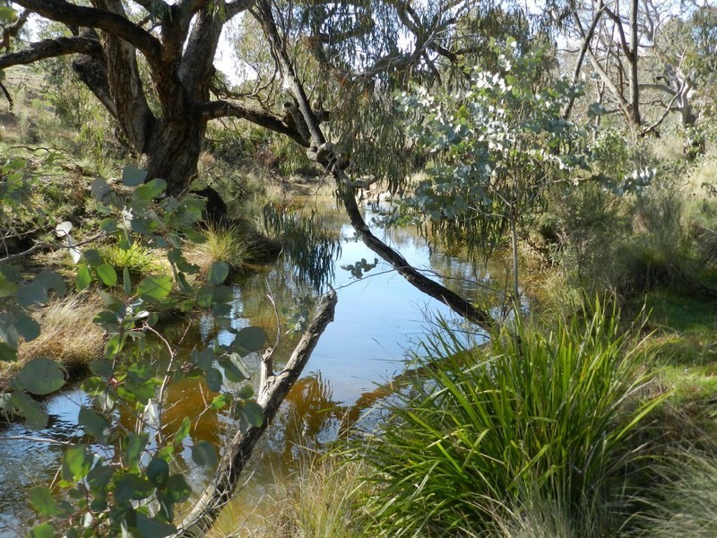 31 Kiowarrah Road, Bevendale NSW 2581