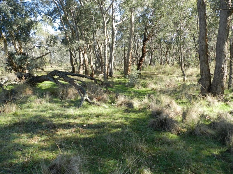 31 Kiowarrah Road, Bevendale NSW 2581