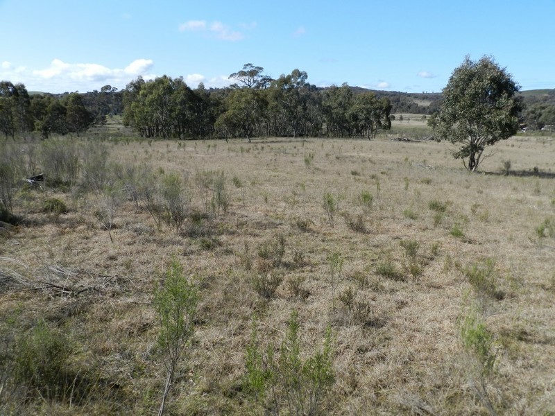 31 Kiowarrah Road, Bevendale NSW 2581