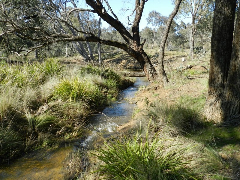 31 Kiowarrah Road, Bevendale NSW 2581