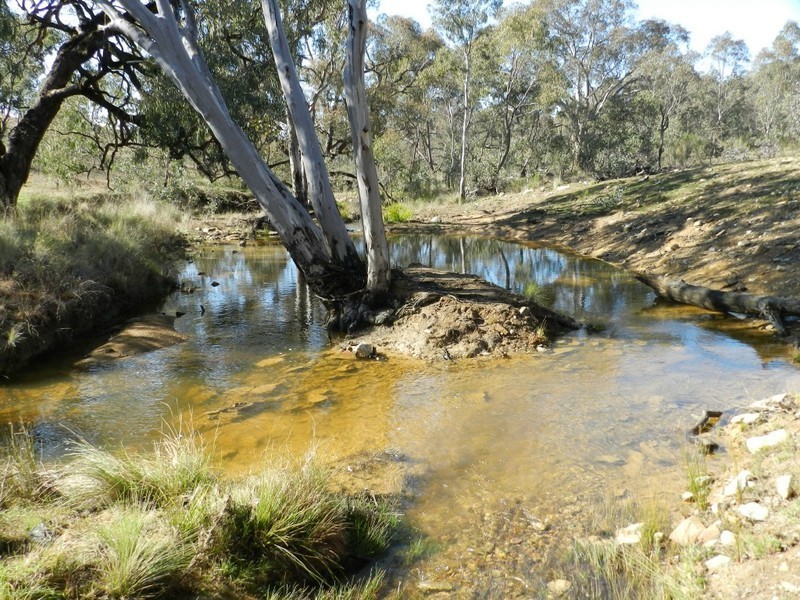 31 Kiowarrah Road, Bevendale NSW 2581