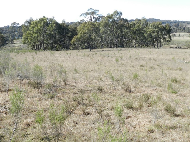 31 Kiowarrah Road, Bevendale NSW 2581