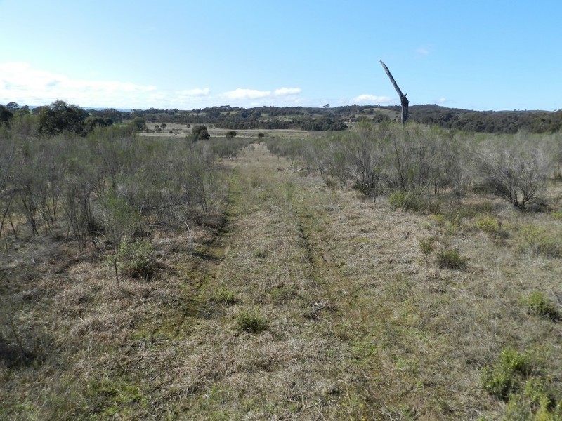 31 Kiowarrah Road, Bevendale NSW 2581