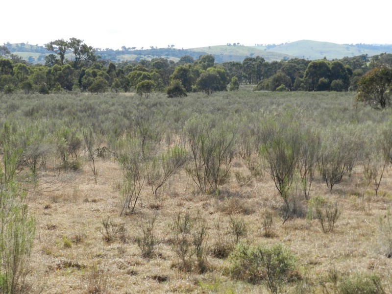 31 Kiowarrah Road, Bevendale NSW 2581