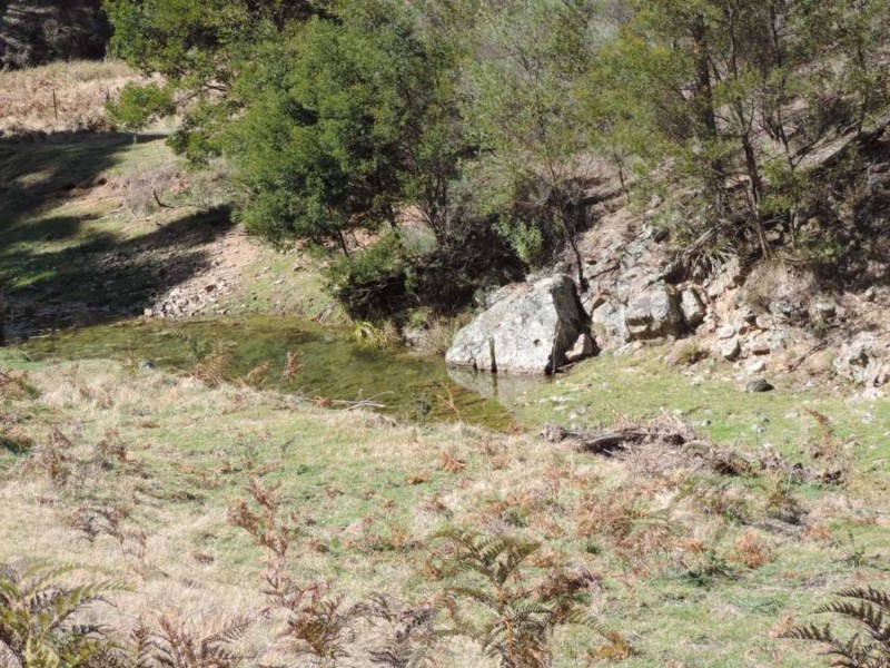 1403 Bannaby Road, Bannaby NSW 2580