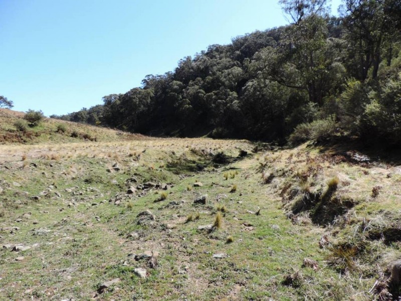 1403 Bannaby Road, Bannaby NSW 2580