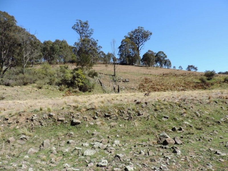 1403 Bannaby Road, Bannaby NSW 2580