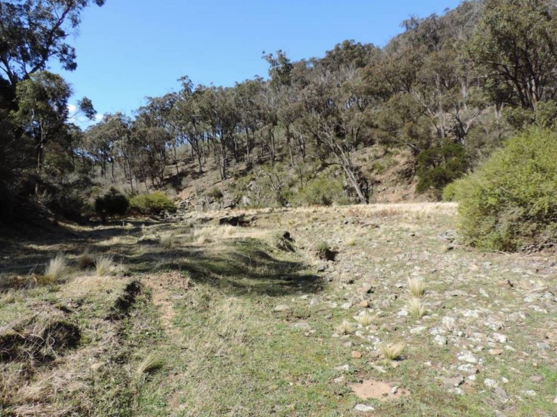 1403 Bannaby Road, Bannaby NSW 2580