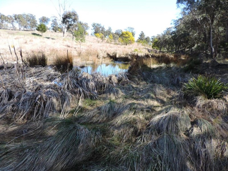 1403 Bannaby Road, Bannaby NSW 2580