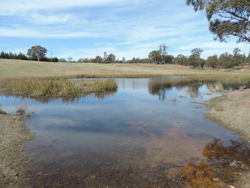 117 Fernleigh Close, Windellama NSW 2580