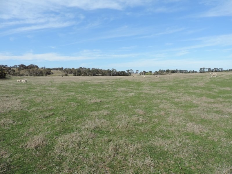 117 Fernleigh Close, Windellama NSW 2580