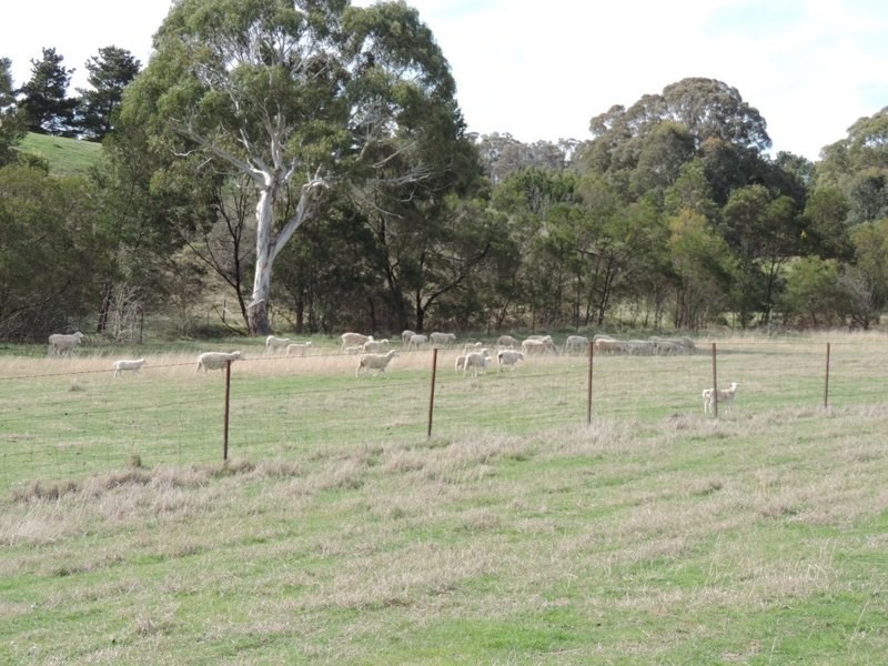 117 Fernleigh Close, Windellama NSW 2580