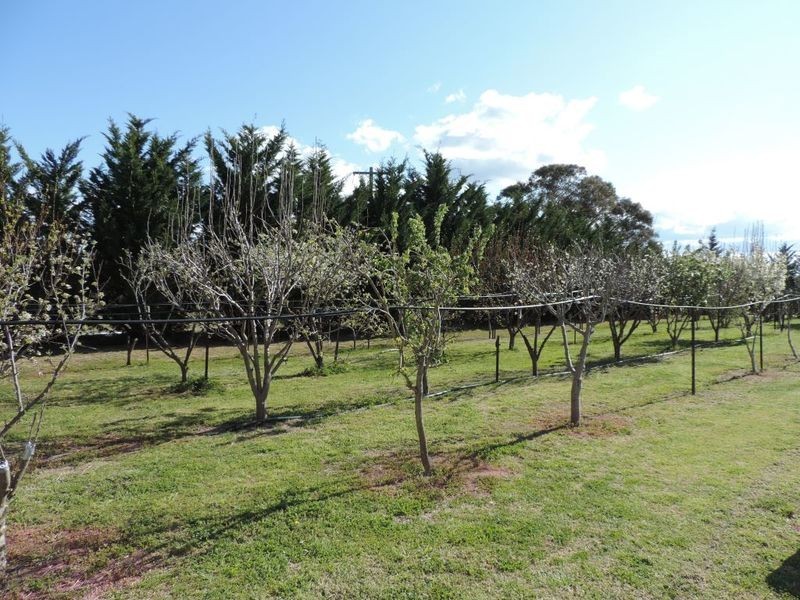 117 Fernleigh Close, Windellama NSW 2580