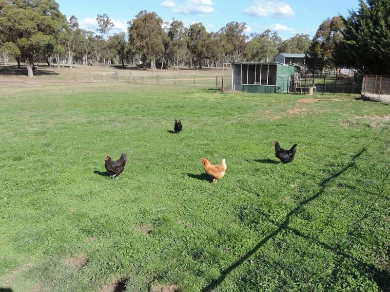 117 Fernleigh Close, Windellama NSW 2580