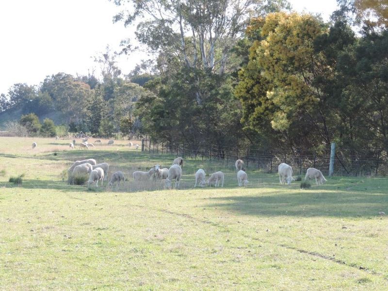 117 Fernleigh Close, Windellama NSW 2580