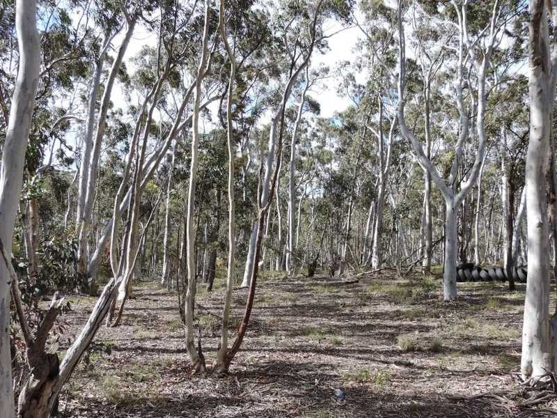 6 Banksia Lane, Bungonia NSW 2580