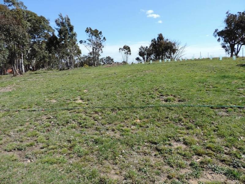 6501 Oberon Road, Taralga NSW 2580