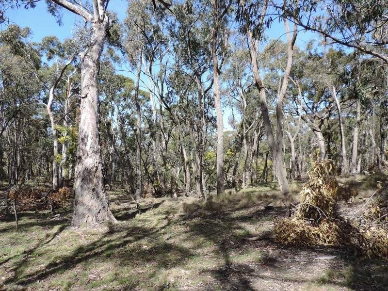 6501 Oberon Road, Taralga NSW 2580