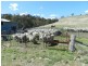 Adavale 189 Adavale Road, Taralga NSW 2580