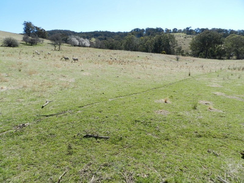 Adavale 189 Adavale Road, Taralga NSW 2580